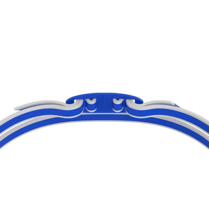 Speedo Vanquisher 3.0 - Blue/Cobalt | Allens Of Kingsbury