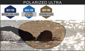 Zoggs Predator Polarized Ultra Goggles - Regular Fit - Grey/Orange/Polarized Copper | Allens Of Kingsbury