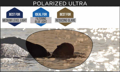 Zoggs Predator Polarized Ultra Goggles - Regular Fit - Grey/Orange/Polarized Copper | Allens Of Kingsbury