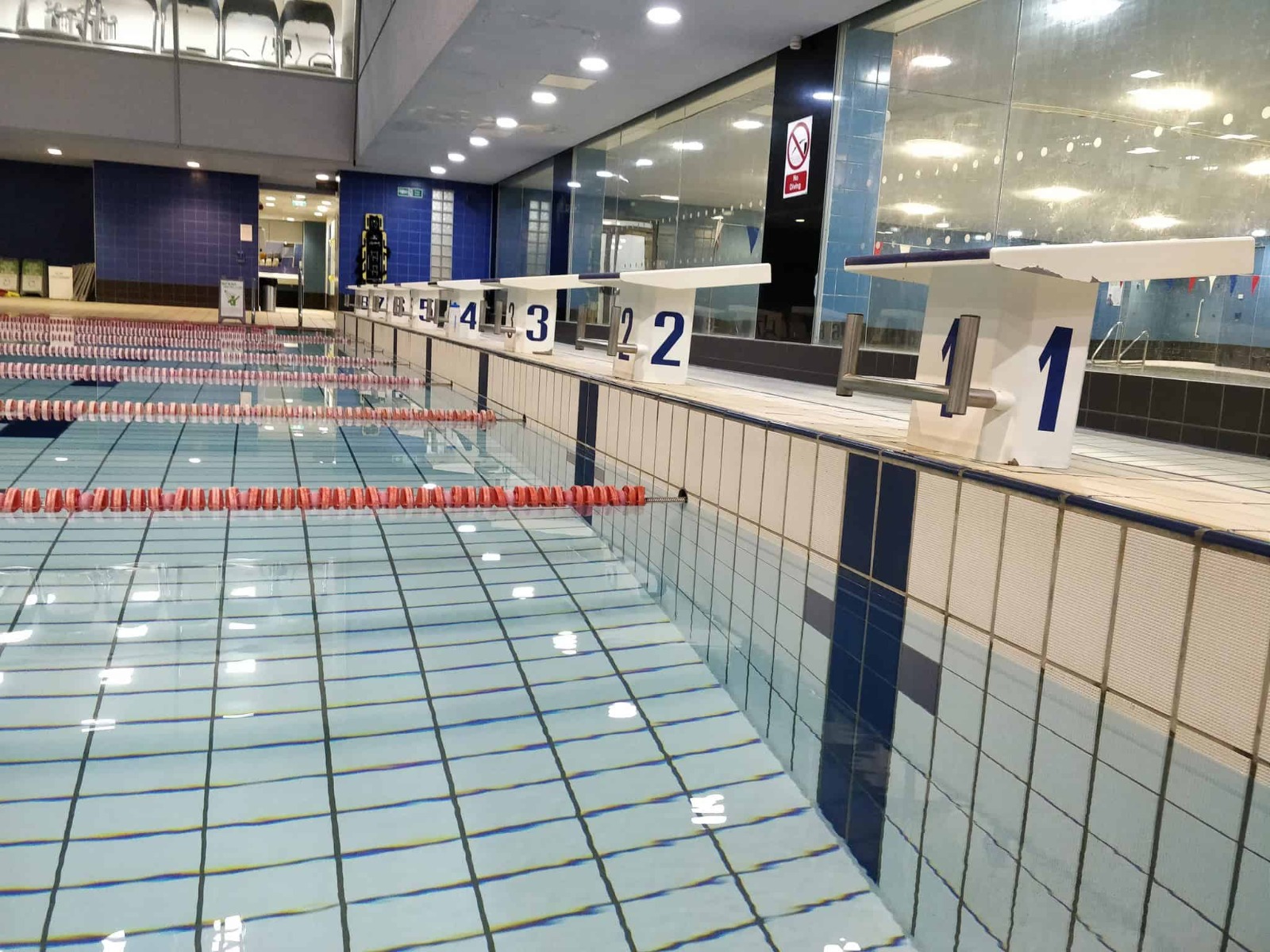 Camden Swiss Cottage Swimming Club 