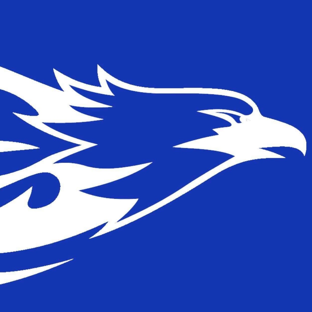 Falcon Swimming Club