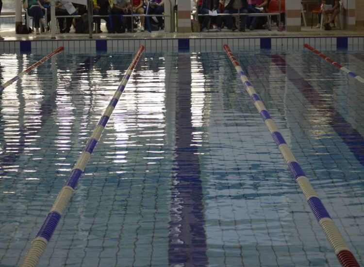 Flint Swimming Club