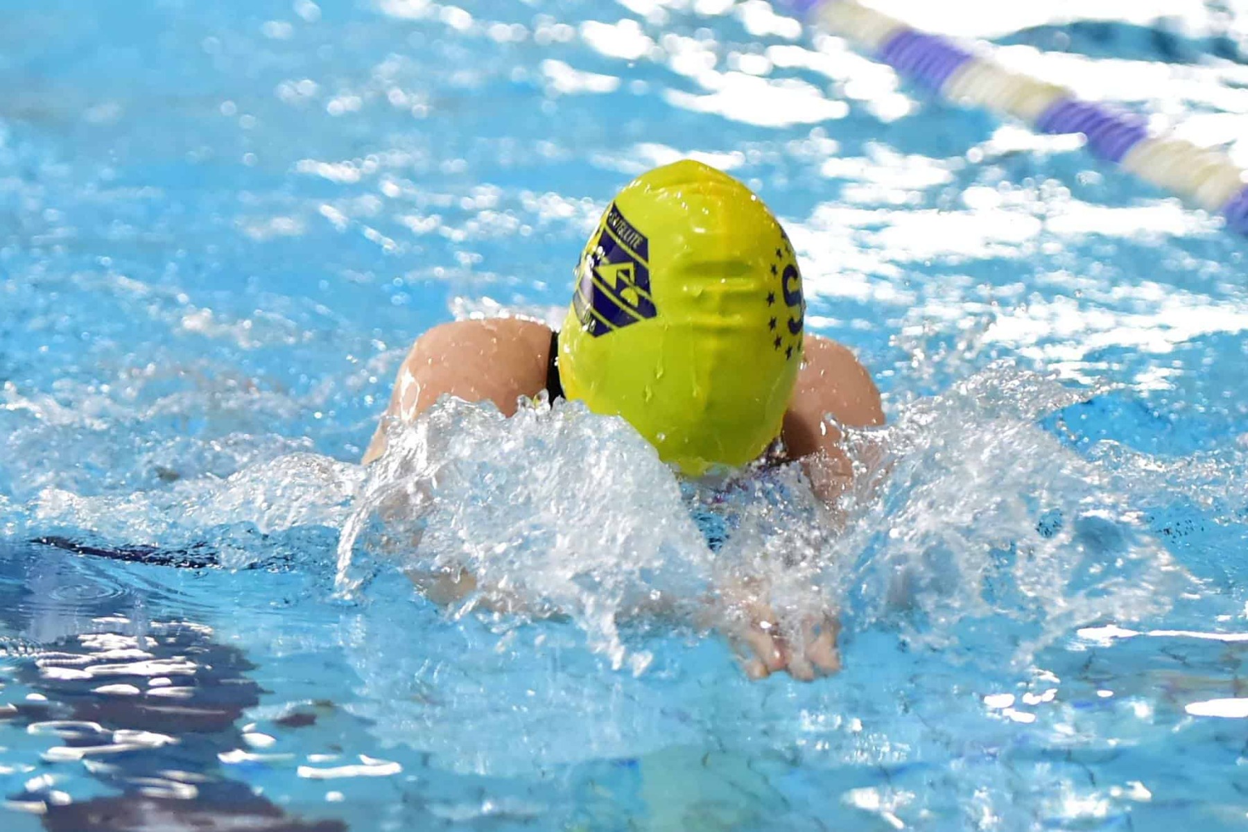 Satellites Swimming Club 
